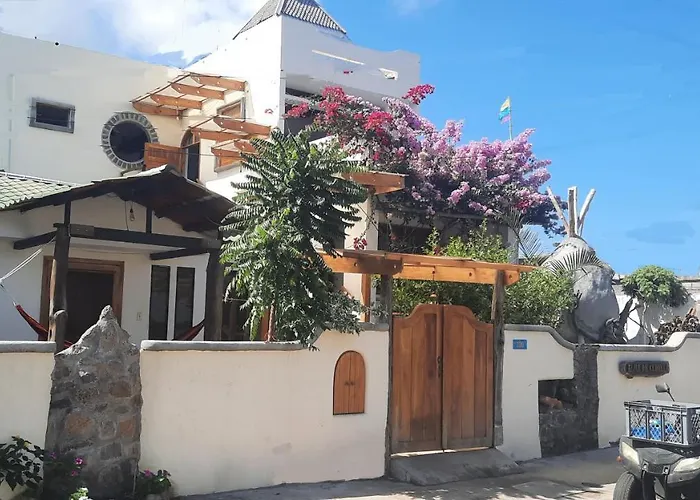 Alma de cedrela
