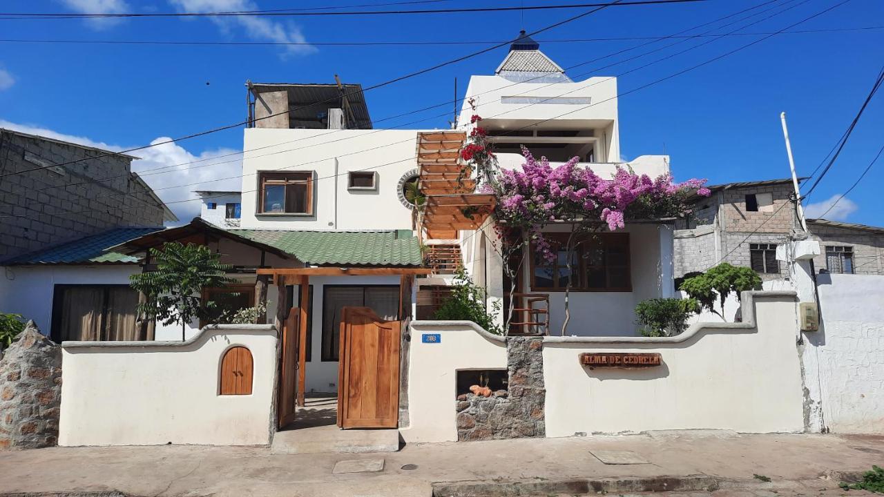 Apartment Alma De Cedrela