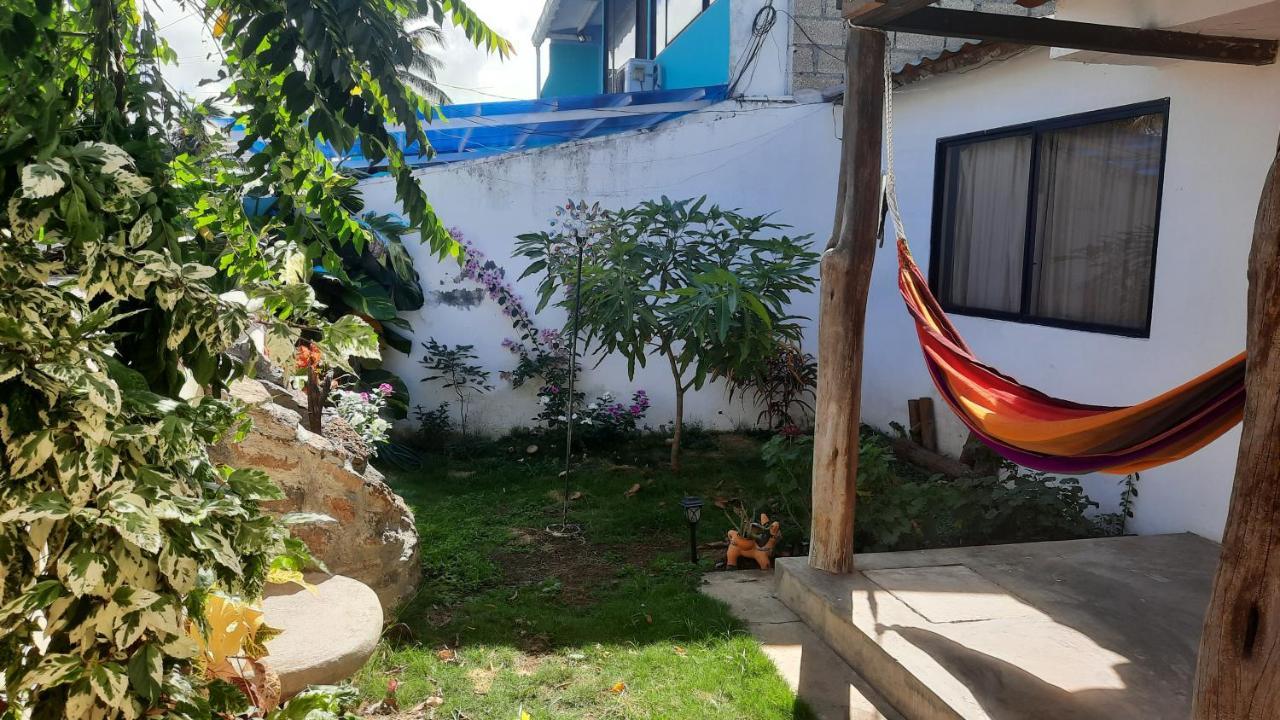 Alma De Cedrela