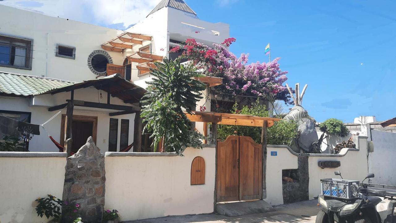 Alma De Cedrela