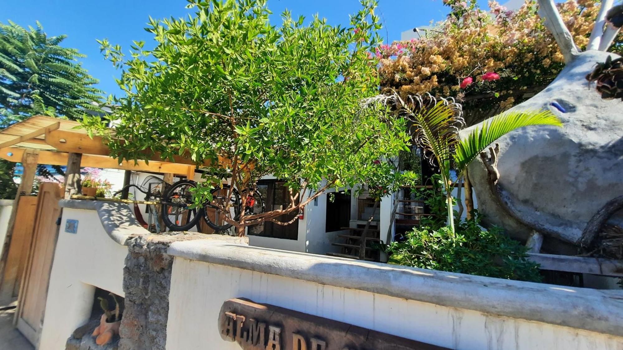Apartment Alma De Cedrela