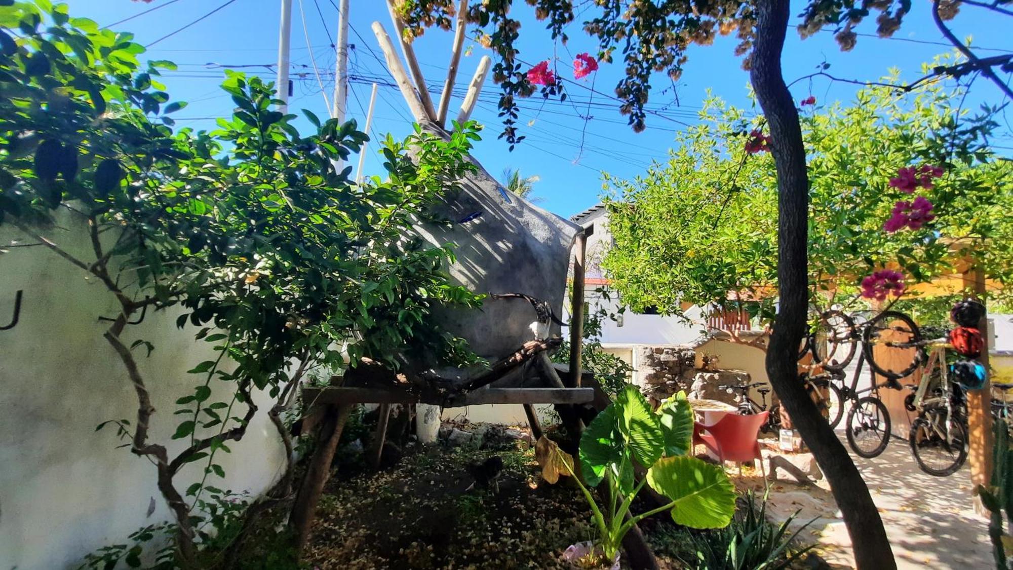 Apartamento Alma De Cedrela