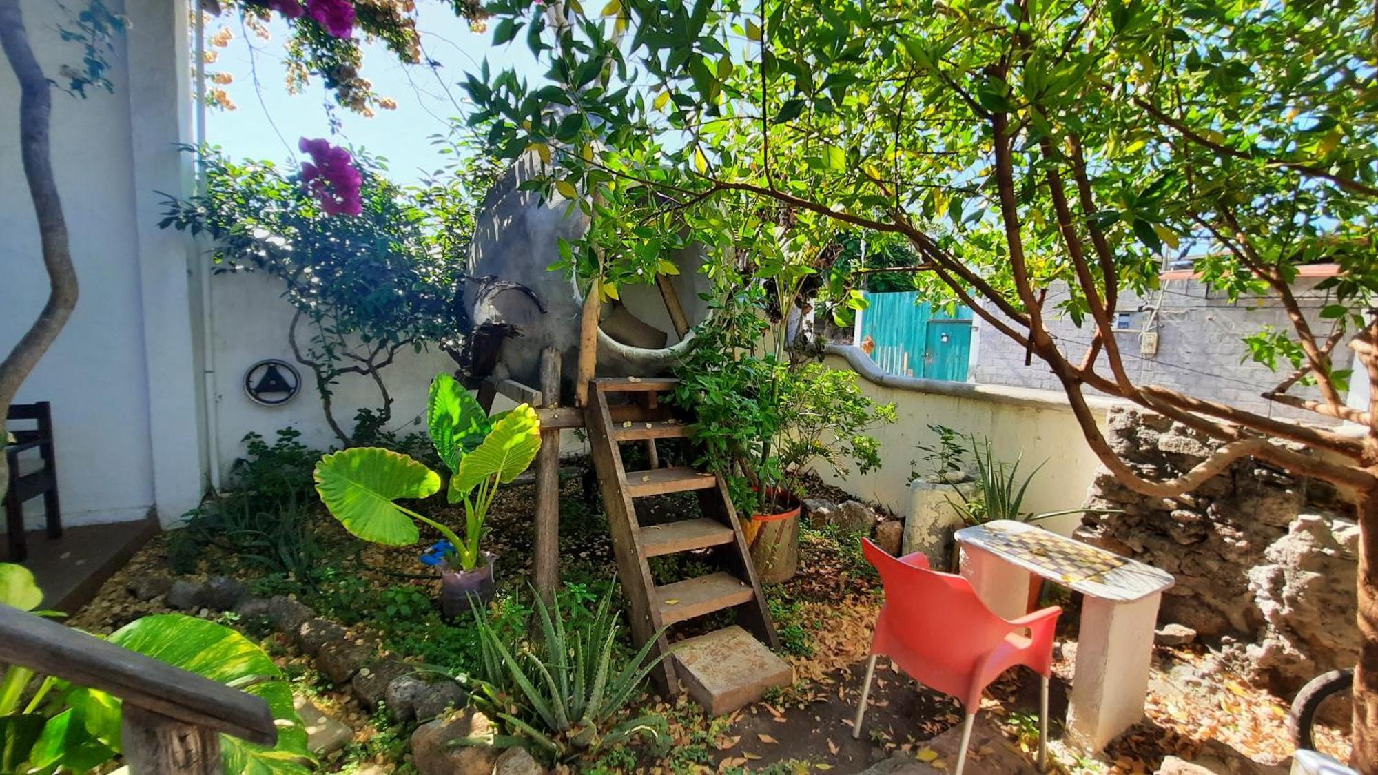 Apartamento Alma De Cedrela *