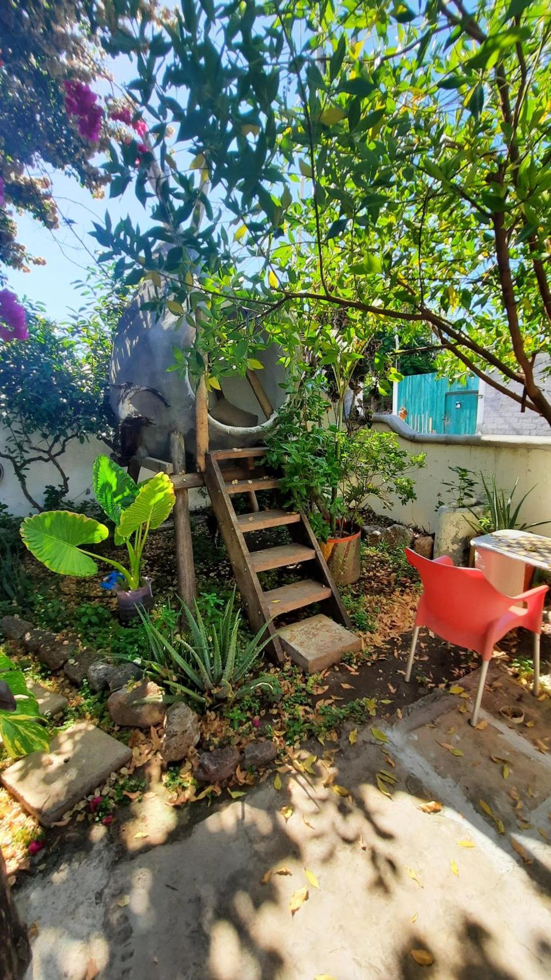 Apartamento Alma De Cedrela