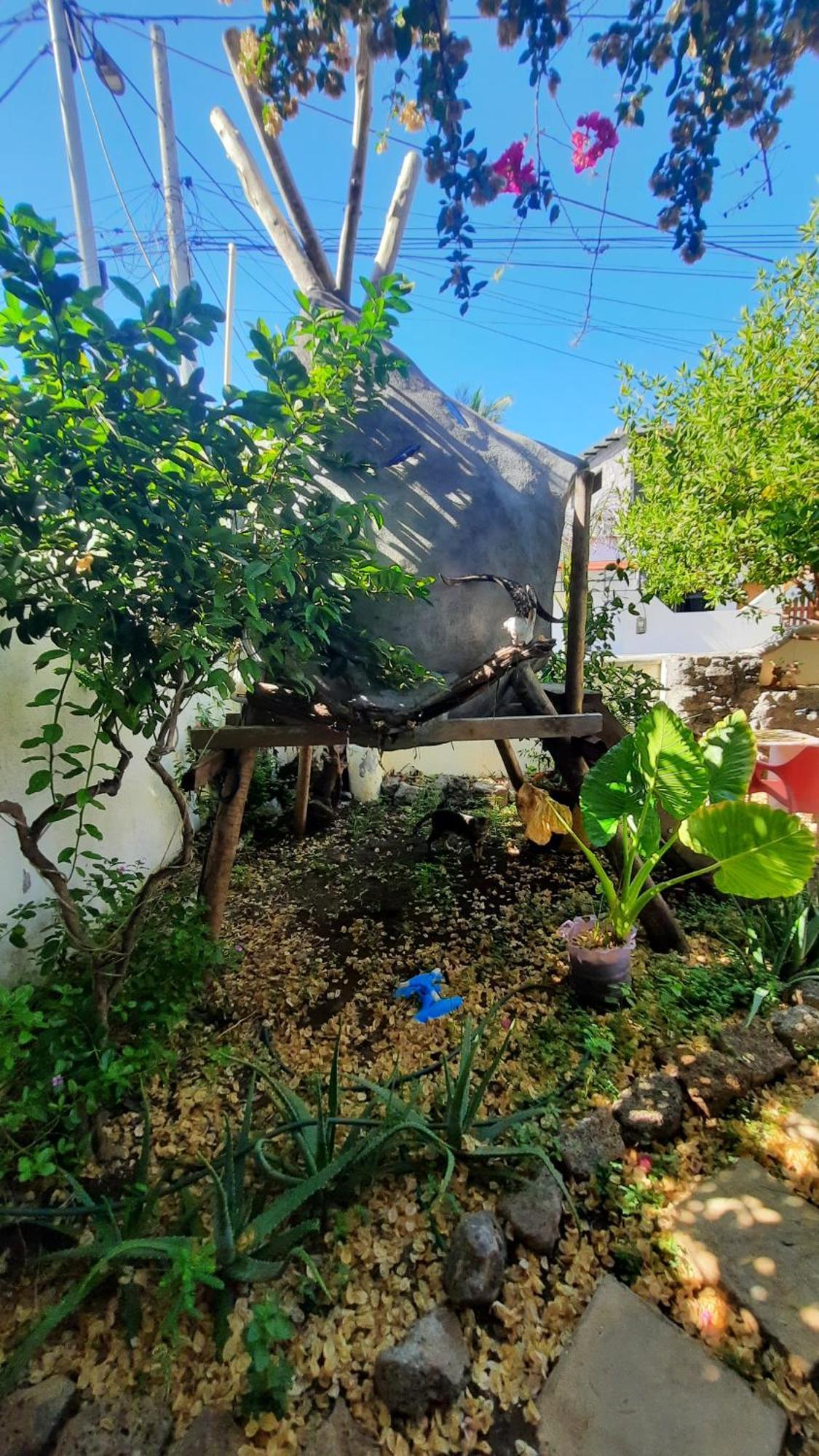 Apartamento Alma De Cedrela Puerto Ayora (Galapagos Islands)