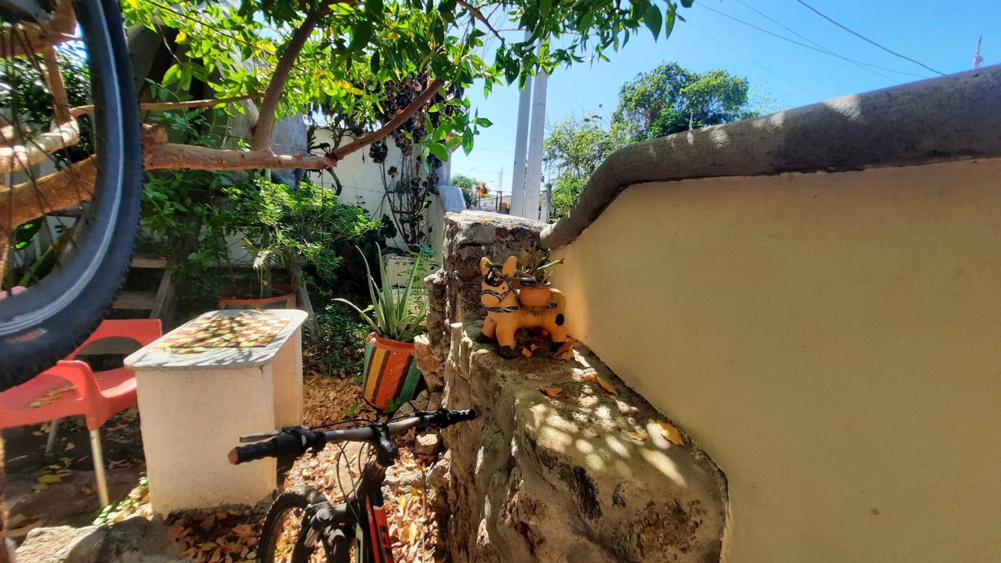 Alma De Cedrela Apartment Puerto Ayora (Galapagos Islands)