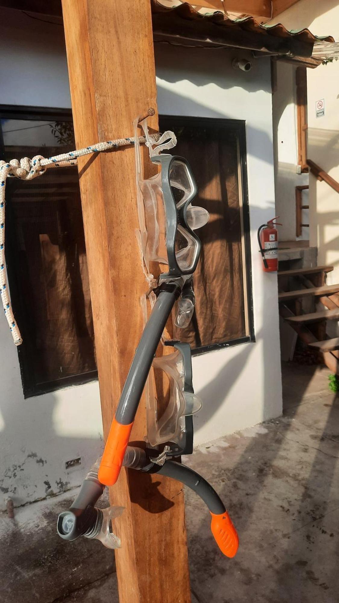 Apartamento Alma De Cedrela *